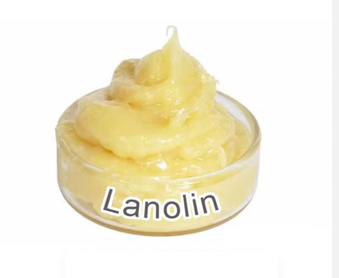 原材料 毛脂 製薬品 ランオリン 無水 8006-54-0 CAS