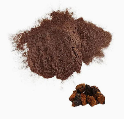 天然 10%~50% ポリサカリド チャガ抽出物 粉末抽出物 CAS 84650-60-9