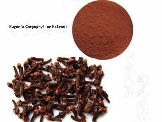 Eugenia Caryophyllus Extract CAS NO 84961-50-2 栄養保健製品