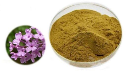 Eugenia Caryophyllus Extract CAS NO 84961-50-2 栄養保健製品