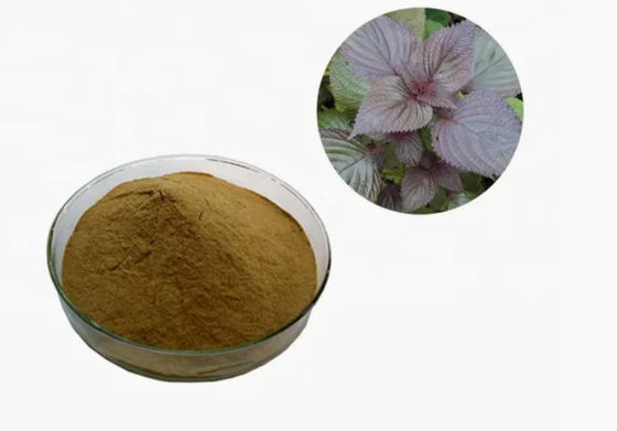 天然有機ペリラ葉抽出物 CAS NO 90082-61-4 年間草の粉末