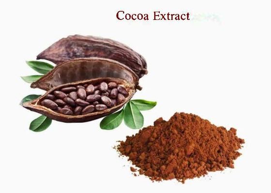 純天然カカオ抽出物 シアブロミン CAS NO 83-67-0 植物抽出物 食品添加物