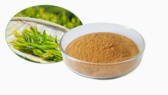 植物 天然食品 緑茶抽出物 CAS No 989-51-5 カメリア・シネンシス o.ktze