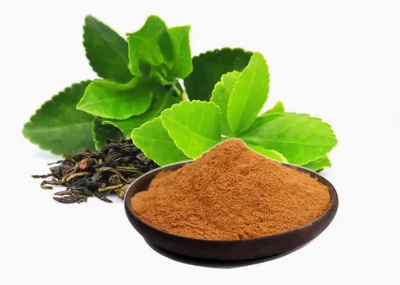 植物 天然食品 緑茶抽出物 CAS No 989-51-5 カメリア・シネンシス o.ktze