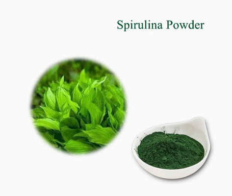 植物抽出物 保健サプリメント スピルリナ CAS NO 724424-92-4 緑藻粉