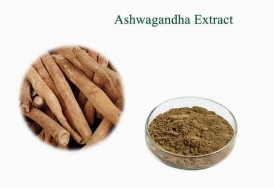 アシュワガンダのハーブエキス アユルヴェーダ抽出物 CAS NO 90147-43-6 5% ウィタノリド粉末