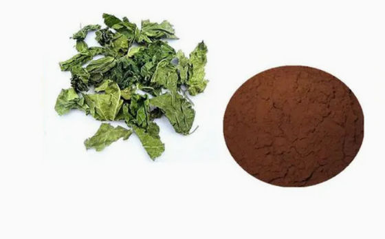 医薬品 重要な原材料または中産物 クロロゲン酸 CAS NO 327-97-9 粉末