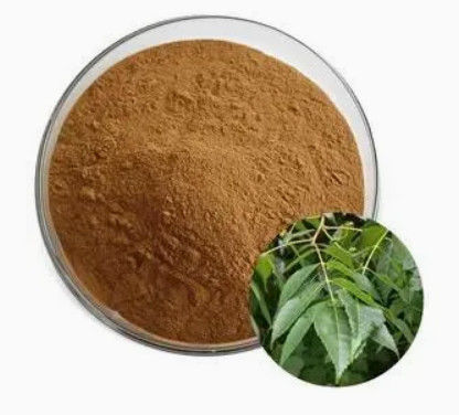 CAS NO 68915-32-2 Picrasma quassioides 抽出物 中国医学と現代薬理学