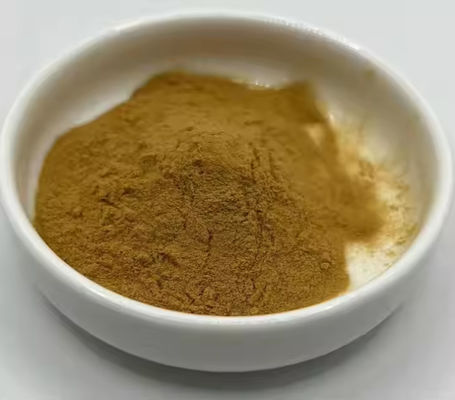 薬剤 医療 ジンコビロバ抽出物 CAS NO 84696-15-1 純天然粉