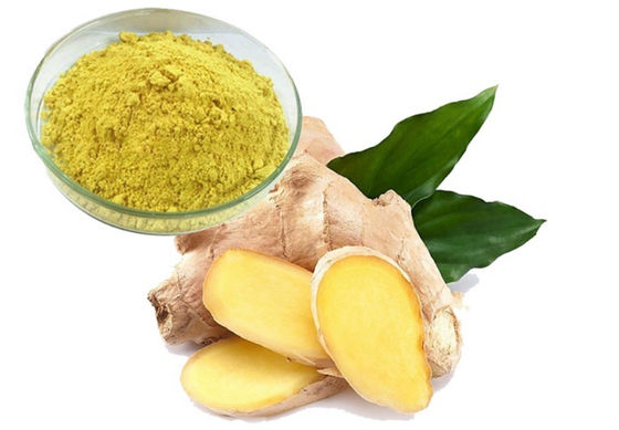 薬剤 医療 ジンコビロバ抽出物 CAS NO 84696-15-1 純天然粉
