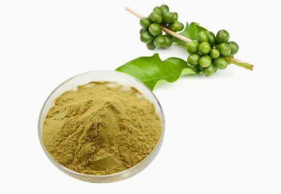 薬剤 医療 緑コーヒー豆抽出物 CAS NO 327-97-9 純粋な天然粉末