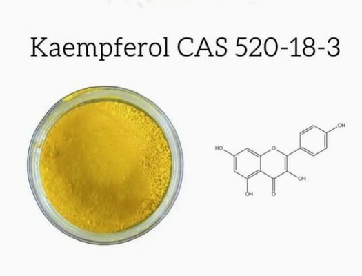 保健サプリメント カエンフェロール 粉 Galanga Extract CAS 520-18-3 純粋な自然