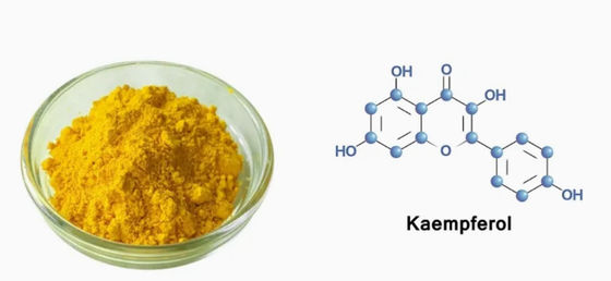 保健サプリメント カエンフェロール 粉 Galanga Extract CAS 520-18-3 純粋な自然