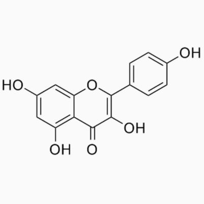 保健サプリメント カエンフェロール 粉 Galanga Extract CAS 520-18-3 純粋な自然
