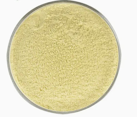 保健サプリメント カエンフェロール 粉 Galanga Extract CAS 520-18-3 純粋な自然