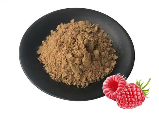天然のラズベリー抽出物 10/1 CAS NO 38963-94-9 純粋な抽出物 粉末 ラズベリー粉末