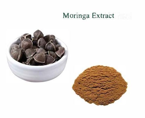 天然植物モリンガ抽出物 10/1 CAS NO 93165-54-9 モリンガオリーフェラ粉