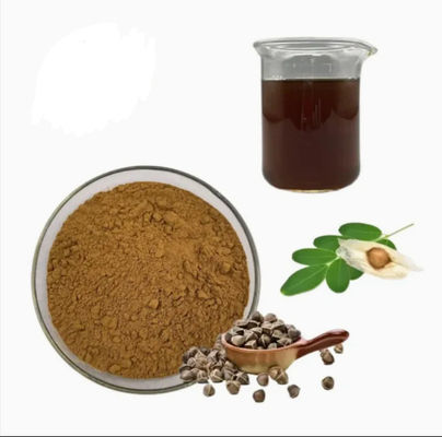 天然植物モリンガ抽出物 10/1 CAS NO 93165-54-9 モリンガオリーフェラ粉