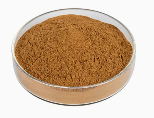 天然植物モリンガ抽出物 10/1 CAS NO 93165-54-9 モリンガオリーフェラ粉