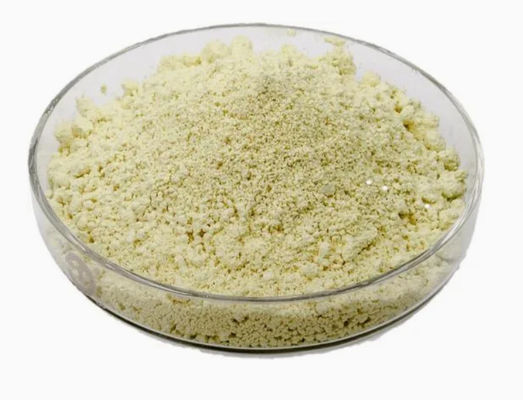 天然植物抽出物 ルテオリン 98% CAS NO 491-70-3 HPLC 抗ウイルス粉末 ルテオリン