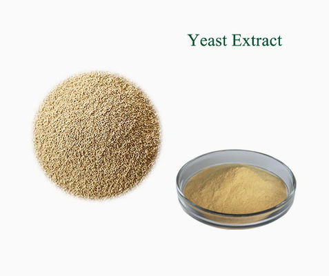 ISO認定100%天然酵母抽出物 CAS NO 8013-01-2 食品の味覚強化剤