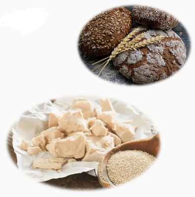 ISO認定100%天然酵母抽出物 CAS NO 8013-01-2 食品の味覚強化剤