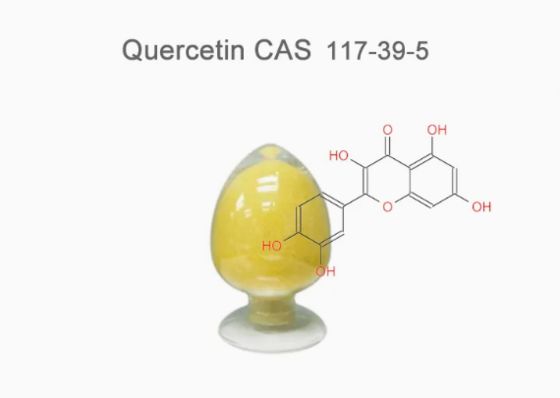 植物抽出物 薬剤類 クェルセチン 無水 CAS NO 117-39-5 黄粉